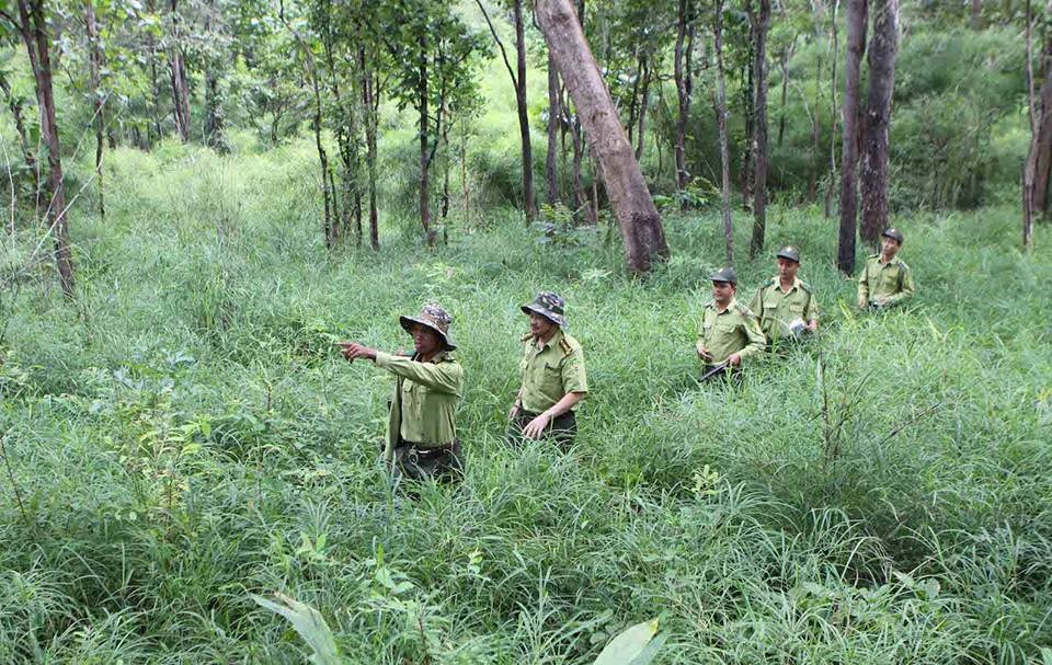 Xây dựng phương án sử dụng đất đối với các DNNN thực hiện sắp xếp, chuyển đổi