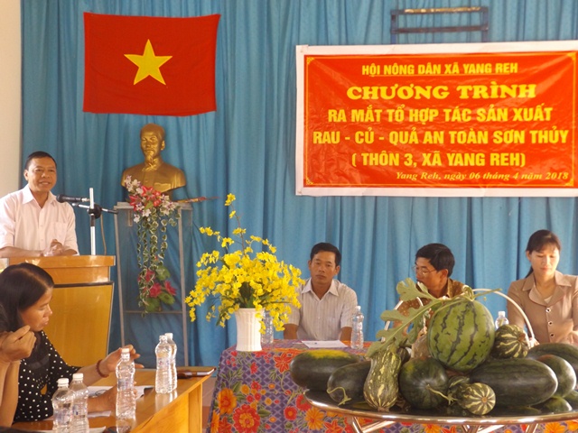 Hội Nông dân xã Yang Reh tổ chức Lễ ra mắt “Tổ hợp tác sản xuất rau, củ, quả an toàn Sơn Thủy”