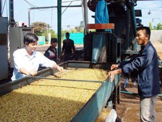 Ban hành Quy chế phối hợp giữa các cơ quan chức năng trong việc quản lý nhà nước đối với doanh nghiệp sau đăng ký thành lập trên địa bàn tỉnh Đắk Lắk