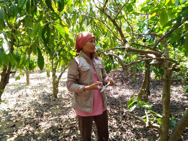 Vốn vay Ngân hàng chính sách xã hội huyện “điểm tựa” giúp người dân thoát nghèo.