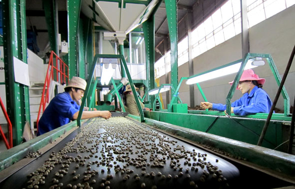 Kết luận của lãnh đạo tỉnh tại cuộc họp Ban Chỉ đạo đổi mới và phát triển doanh nghiệp