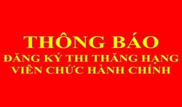 Tổ chức thi thăng hạng viên chức hành chính