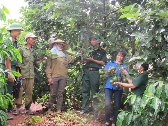 Hiệu quả mô hình trồng xen canh cà phê