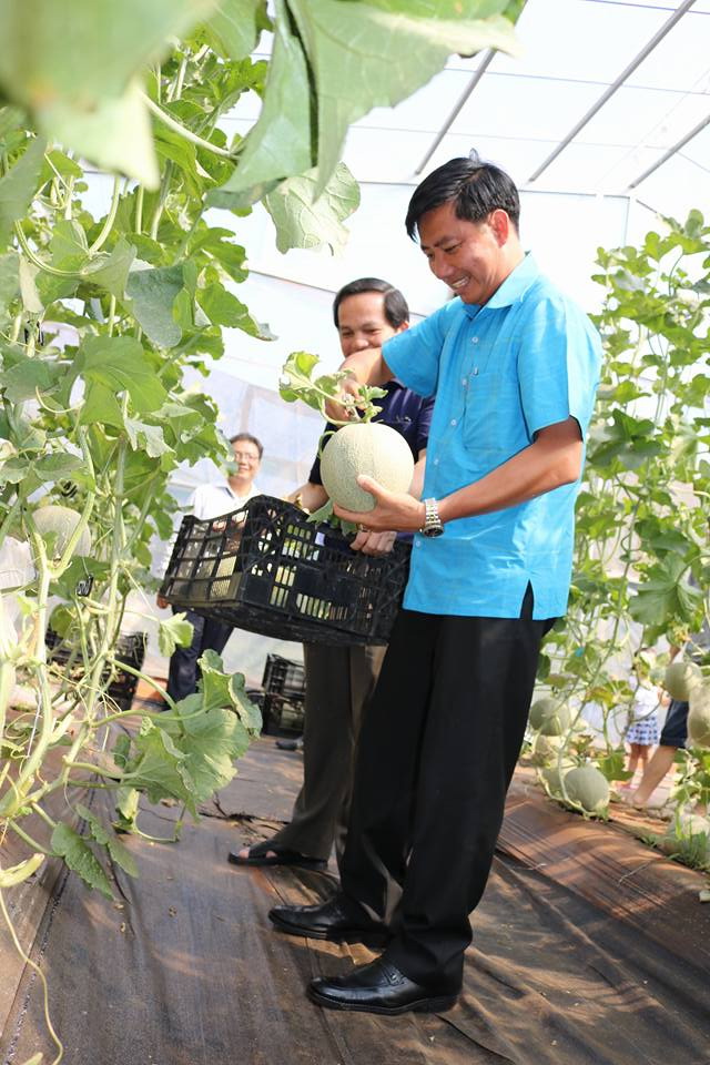 Phê duyệt Đề án thành lập khu công nghiệp ứng dụng công nghệ cao huyện Cư M’Gar