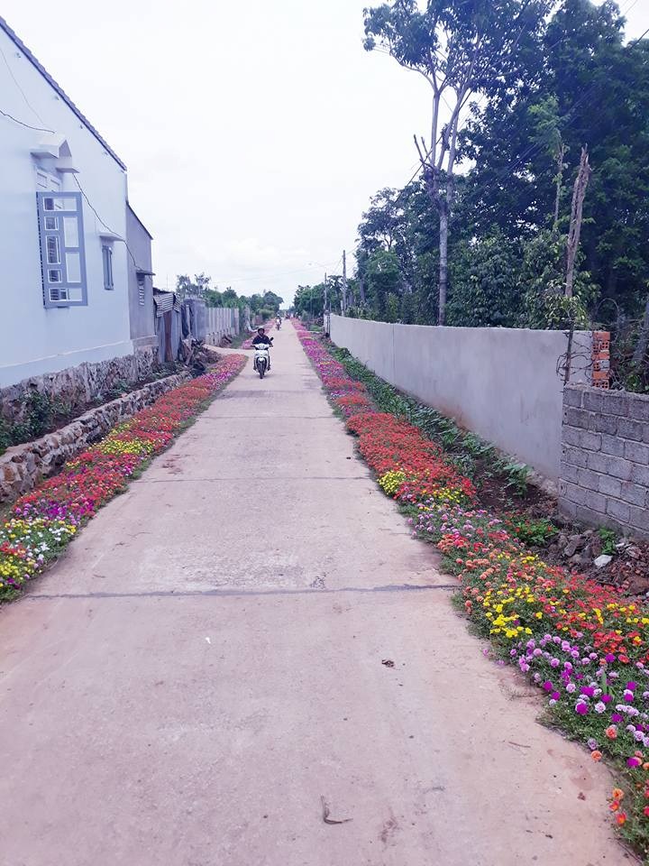 Sức lan tỏa của mô hình 