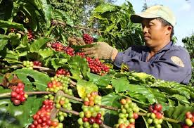 Phê duyệt Đề án tái cơ cấu kinh tế tỉnh gắn với chuyển đổi mô hình tăng trưởng