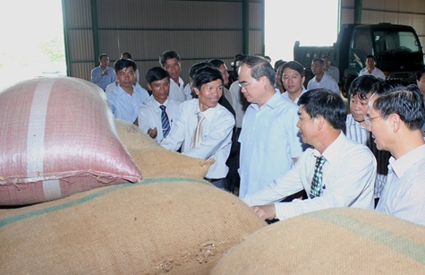 Triển khai Chỉ thị của Thủ tướng Chính phủ về tăng cường công tác Luật HTX năm 2012