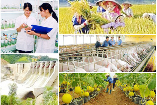 Quy chế sử dụng nguồn vốn huy động khác thực hiện các chương trình mục tiêu quốc gia giai đoạn 2016 – 2020 trên địa bàn tỉnh