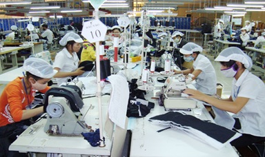 Triển khai thực hiện Chỉ thị số 15/CT-TTg của Thủ tướng Chính phủ