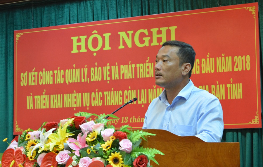 UBND tỉnh sơ kết công tác quản lý, bảo vệ và phát triển rừng 7 tháng đầu năm 2018
