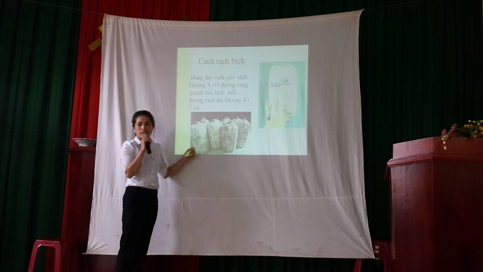 Tập huấn kỹ thuật trồng nấm cho hội viên phụ nữ