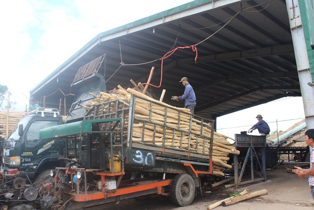 Huyện M’Đrắk: Thu ngân sách năm 2018 về đích sớm 4 tháng