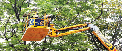 Phê duyệt kế hoạch lựa chọn nhà thầu Dịch vụ công ích đô thị trên địa bàn huyện Krông Pắc năm 2018