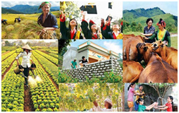 Truyền hình trực tiếp 