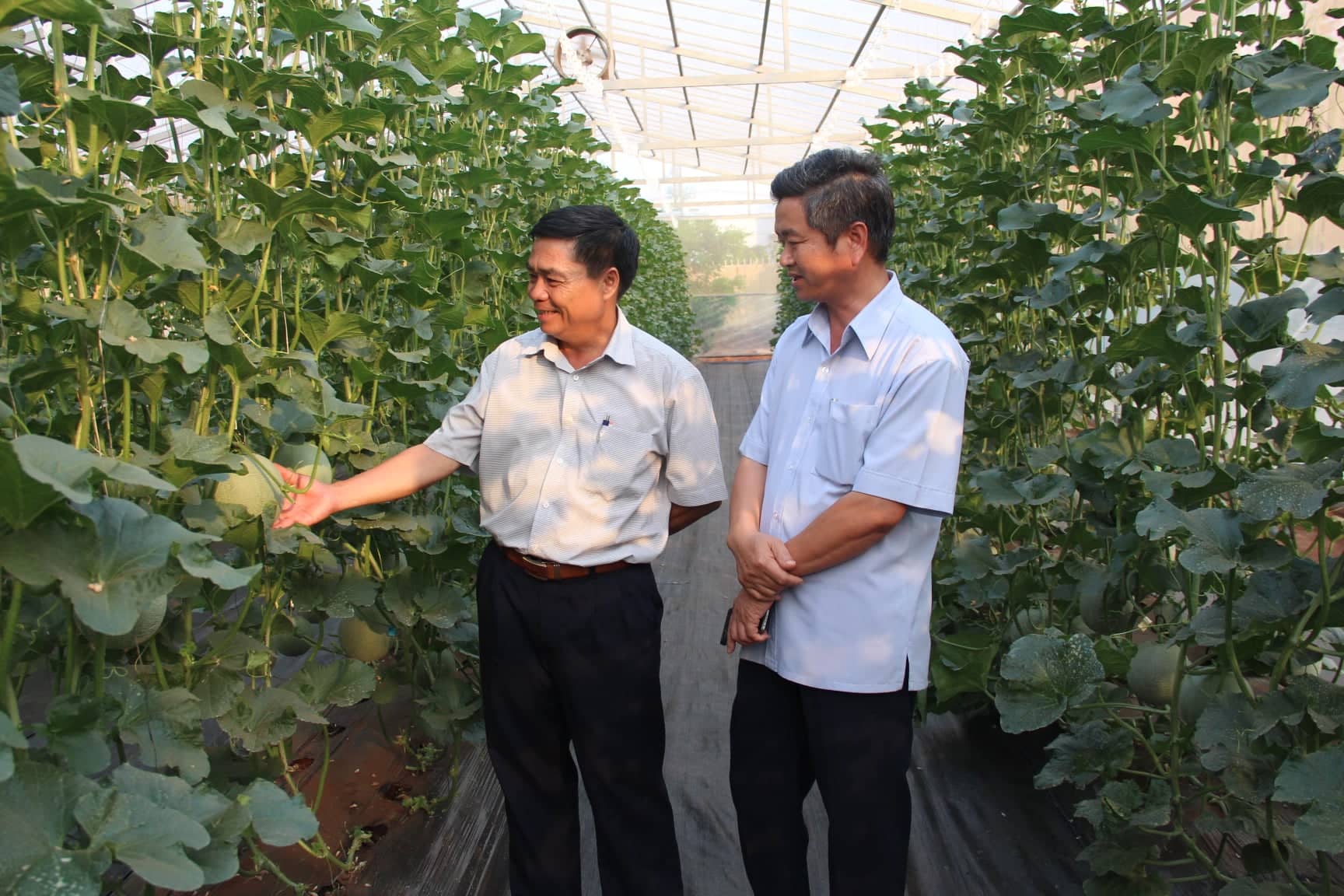 Thực hiện dự án Khu nông nghiệp ứng dụng công nghệ cao Cư M’gar