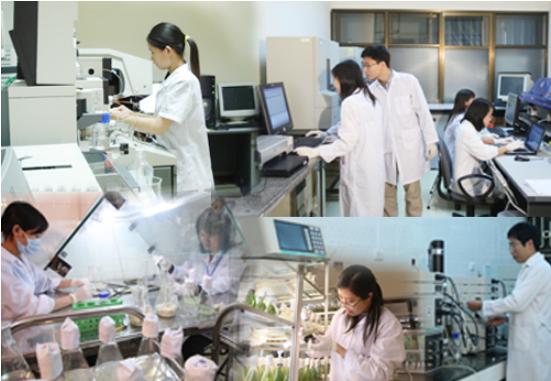 Tình hình thực hiện Thông tư liên tịch số 29/2014/TTLT-BKHCN-BNV