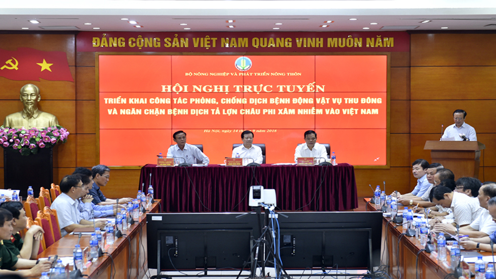 Ngăn chặn Dịch tả lợn Châu Phi xâm nhiễm vào Việt Nam