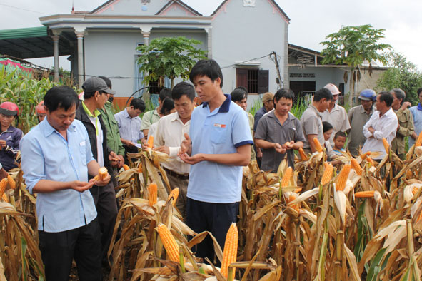 Báo cáo về thực hiện chương trình mục tiêu quốc gia giảm nghèo bền vững giai đoạn 2016-2018 trên địa bàn tỉnh