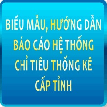Ban hành Biểu mẫu (bổ sung) thu thập hệ thống chỉ tiêu thống kê cấp tỉnh
