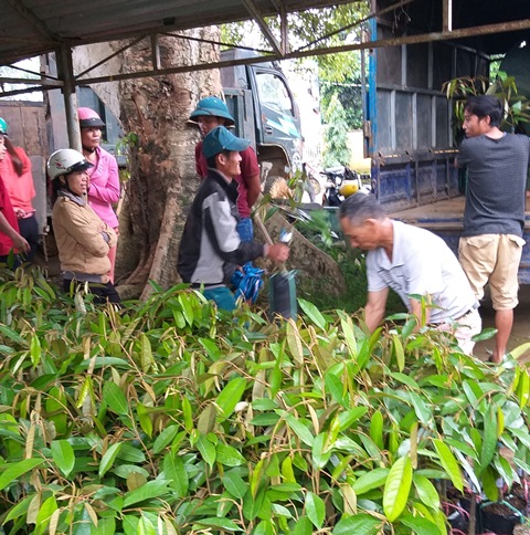 Xã Ea M’Đoal (M’Đrắk) đầu tư trên 10 tỷ đồng xây dựng nông thôn mới