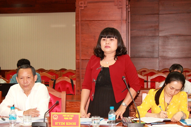 Dak Lak leader works with the delegation of the Government’s Committee on Foreign NGOs Affairs