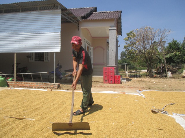 Chàng trai ÊĐê làm giàu từ đất 132