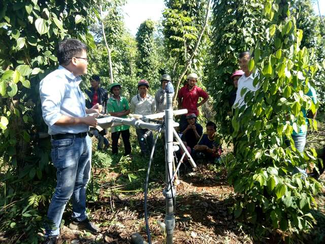 Hội thảo đầu bờ đánh giá mô hình tưới nước tiết kiệm cho cây hồ tiêu tại xã Đắk Phơi