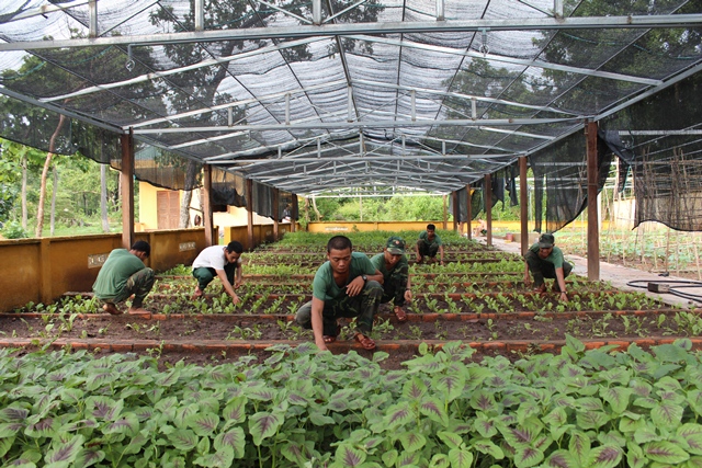 Hiệu quả từ phong trào đỡ đầu kết nghĩa ở biên giới Đắk Lắk