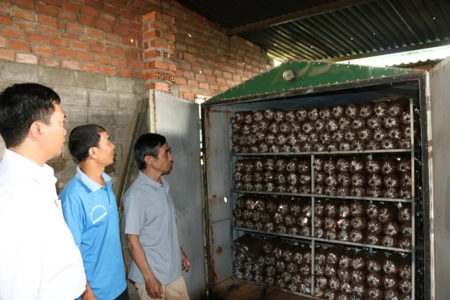 Hợp tác xã nấm sạch Cư M’gar sử dụng hiệu quả nguồn vốn vay giải quyết việc làm của Ngân hàng chính sách xã hội