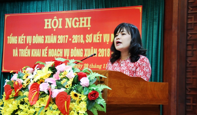 UBND tỉnh triển khai kế hoạch vụ Đông Xuân 2018-2019