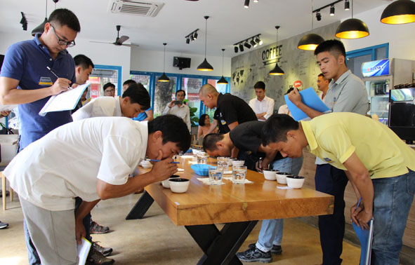 Quyết định thành lập Ban Tổ chức và Ban Thư ký Cuộc thi Cà phê đặc sản Việt Nam 2019