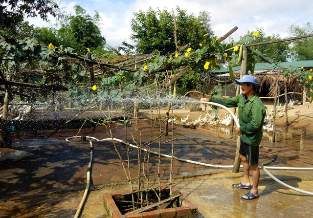 Nuôi vịt đẻ trứng trở thành mô hình phát triển rộng khắp trên địa bàn huyện Lắk