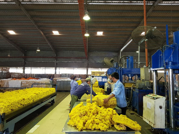 Báo cáo về tình hình hợp tác với Lào và thực hiện thỏa thuận về kế hoạch hợp tác giữa Chính phủ Việt Nam và Chính phủ Lào năm 2018.