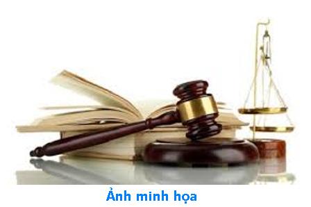 Theo dõi tình hình thi hành pháp luật năm 2019 trên địa bàn tỉnh