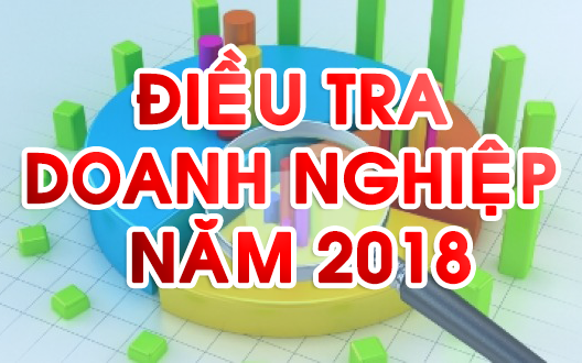 Phối hợp thực hiện Điều tra doanh nghiệp năm 2019.