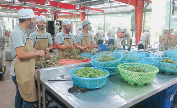 Kế hoạch hành động bảo đảm an toàn thực phẩm trong lĩnh vực nông nghiệp trên địa bàn tỉnh năm 2019