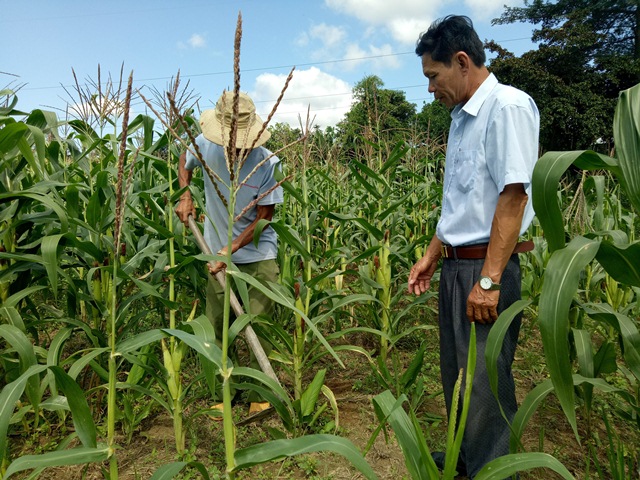 Xã Ea Trang (M'Đrắk) Những kết quả đạt được trong công tác xóa đói giảm nghèo