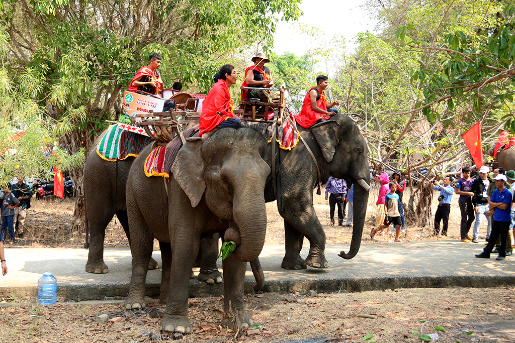 Lễ hội văn hóa truyền thống các dân tộc huyện Buôn Đôn: Lễ cúng bến nước và Lễ cúng sức khỏe cho voi