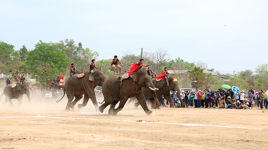 Khai mạc Hội voi Buôn Đôn năm 2019