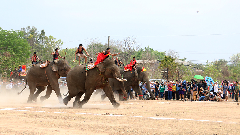 Những hình ảnh đẹp về Hội voi Buôn Đôn năm 2019