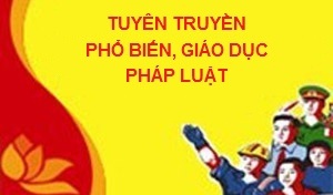 Triển khai Kế hoạch số 708/KH-BTP ngày 05/3/2019 của Bộ Tư pháp