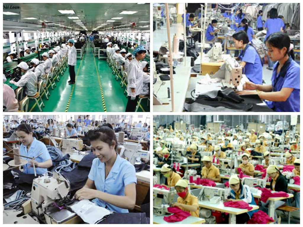 Thu thập, lưu trữ, tổng hợp thông tin thị trường lao động năm 2019