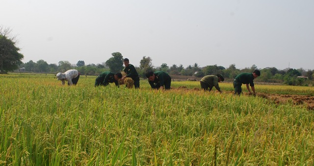 Bộ đội Biên phòng tỉnh Đắk Lắk với nhiều hoạt động ý nghĩa trong Tháng Thanh niên 2019