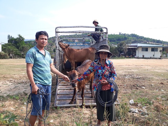 Huyện M’Đrắk trao tặng 10 con bò giống cho các hộ nghèo và cận nghèo