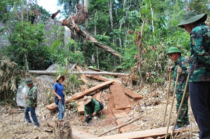 Khởi tố 3 bị can liên quan đến vụ án phá rừng tại xã Cư San (M’Đrắk)