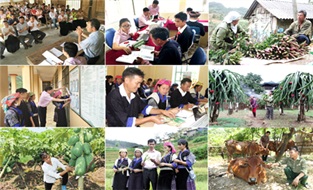 Ban hành Chương trình công tác năm 2019 của Ban Chỉ đạo các chương trình mục tiêu quốc gia tỉnh Đắk Lắk giai đoạn 2016-2020