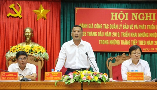 Tổng kết công tác quản lý, bảo vệ và phát triển rừng năm 2018