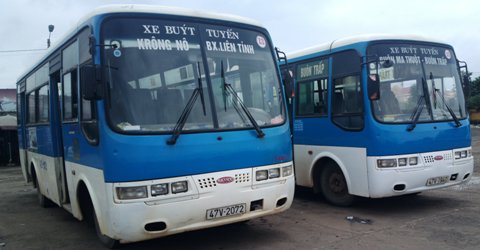 Quyết định ban hành Quy định về hoạt động vận tải đường bộ trong đô thị và tỷ lệ phương tiện vận tải hành khách đáp ứng nhu cầu đi lại của người khuyết tật trên địa bàn tỉnh Đắk Lắk