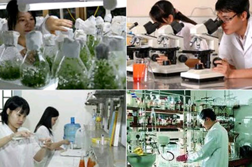 Thực trạng năng lực hệ thống các tổ chức dịch vụ khoa học và công nghệ trên địa bàn tỉnh