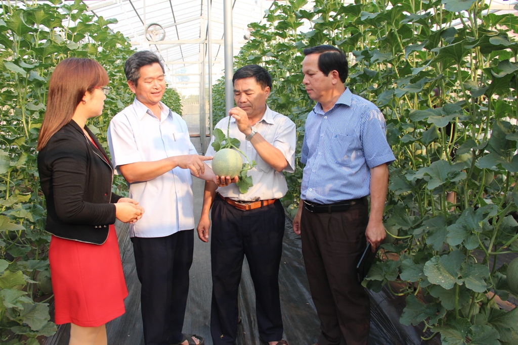 Kế hoạch triển khai Đề án Rà soát, điều chỉnh, bổ sung Đề án phát triển nông nghiệp ứng dụng công nghệ cao tỉnh Đắk Lắk đến năm 2020